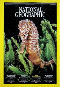 National Geographic圖片